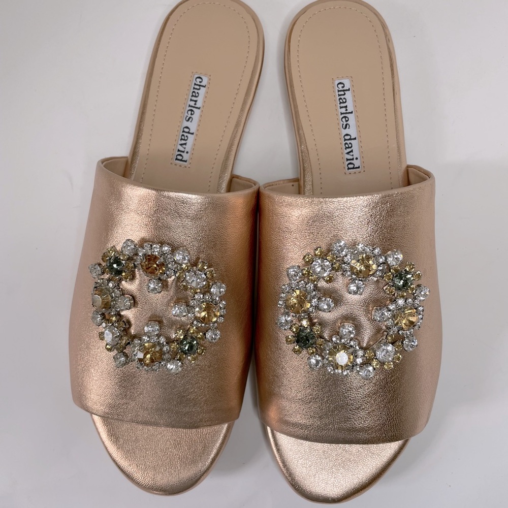 Charles David Soleil Slides size 8.5